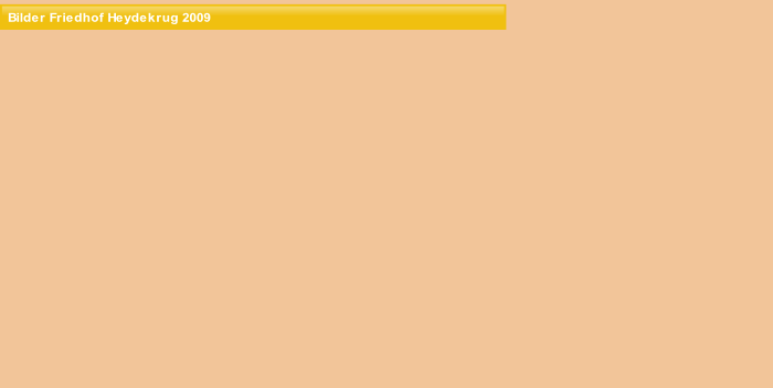 wp5bd58b72.png