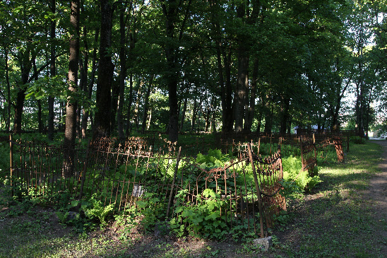 wp5c6b8064_0f.jpg