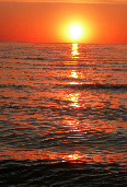 wp7c5c87a3_0f.jpg
